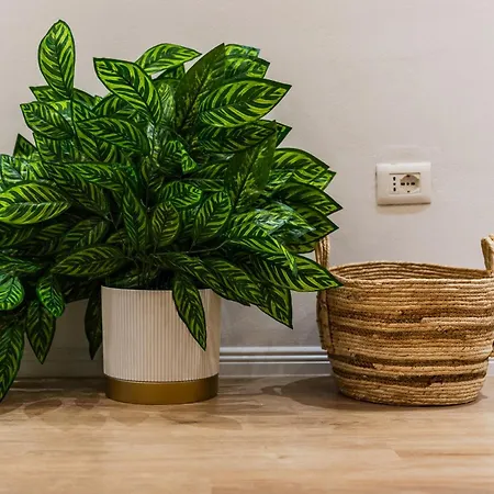 Apartamento Noon | Sofo Duni By Pikhost